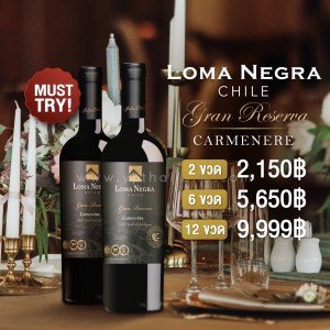 Loma Negra Chile ราคา พิเศษ