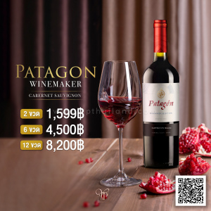 Patagon Wine Maker พร้อมส่ง ราคา พิเศษ