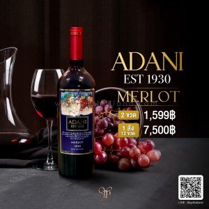 Adani Merlot พร้อมส่ง ราคา พิเศษ ส่งฟรีทั่วประเทศ