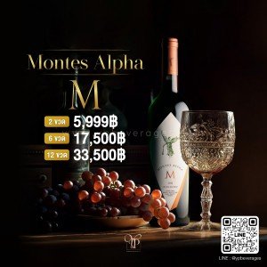 Montes Alpha M ไวน์แดงสุดปังจากประเทศชิลี 🇨🇱 คะแนน 97 Point!   พร้อมส่งทันที