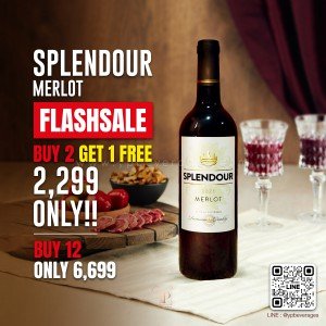 ไวน์ Splendour Merlot BUY 1 GET 1 FREE โคตรคุ้ม! ถูกที่สุดในตลาด!