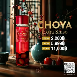 CHOYA EXTRA SHISO โปรโมชั่น 2 ขวด 2200