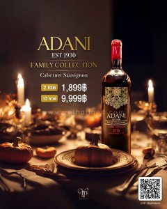 ADANI FAMILY COLLECTION CABERNET SAUVIGNON